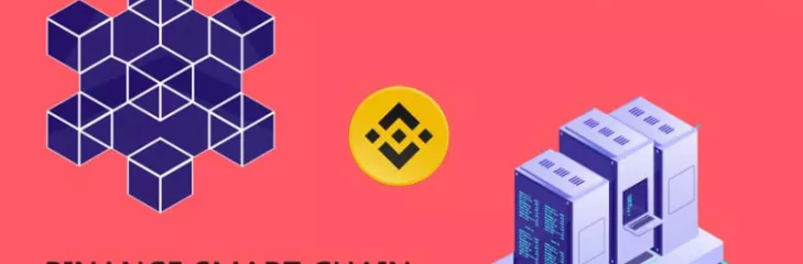 Binance Smart Chain based DeFi application development